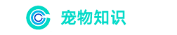 宠物知识